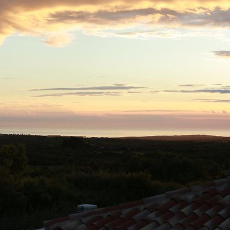 Villa Carolus-Luxurious Istrian Villa Barat  외부 사진